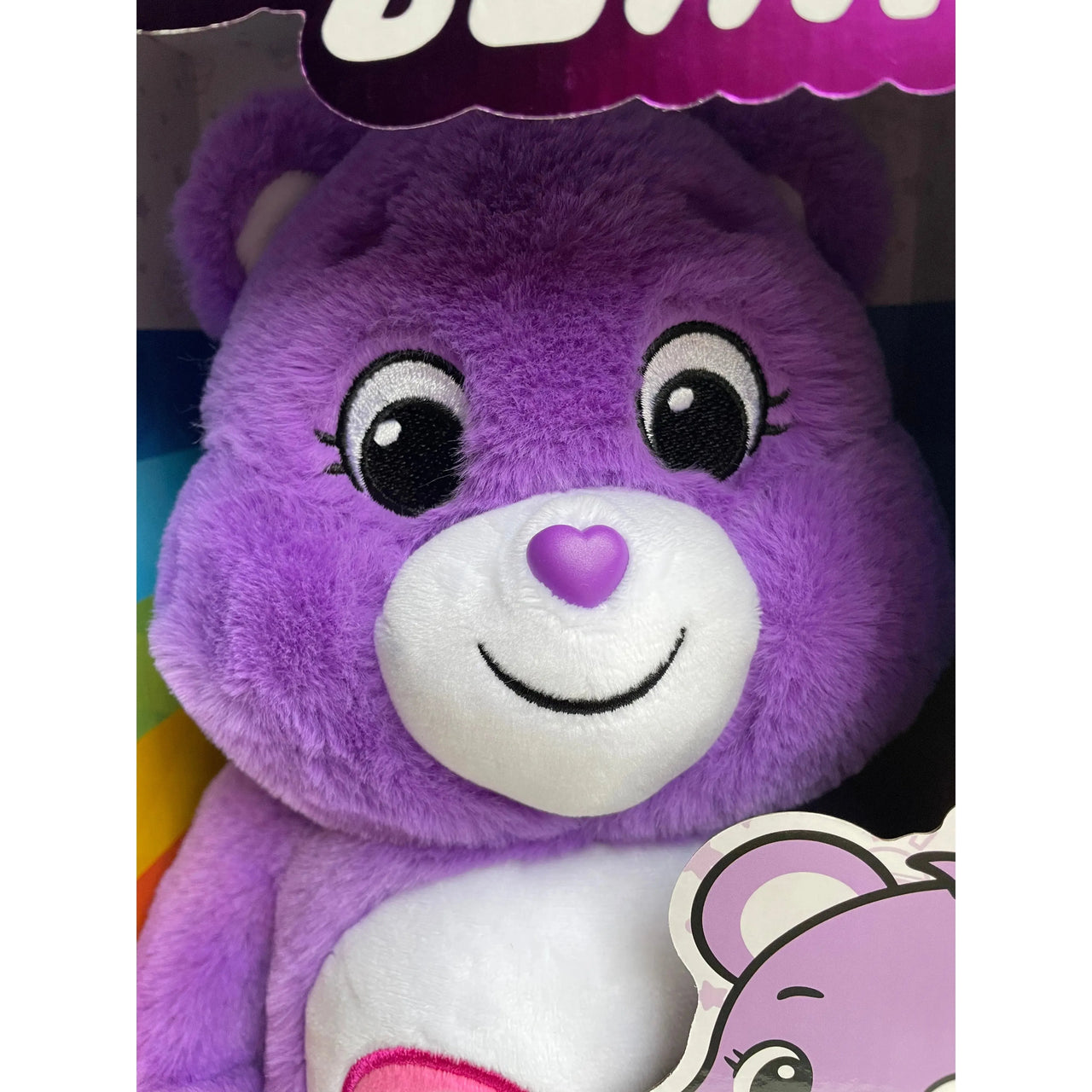 Care Bears 35cm Share Bear Plush Care Bears