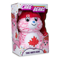 Thumbnail for Care Bears 35cm Medium Plush - True North Bear