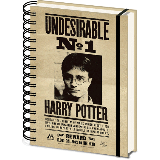 Harry Potter (Sirius & Harry) A5 3D Notebook