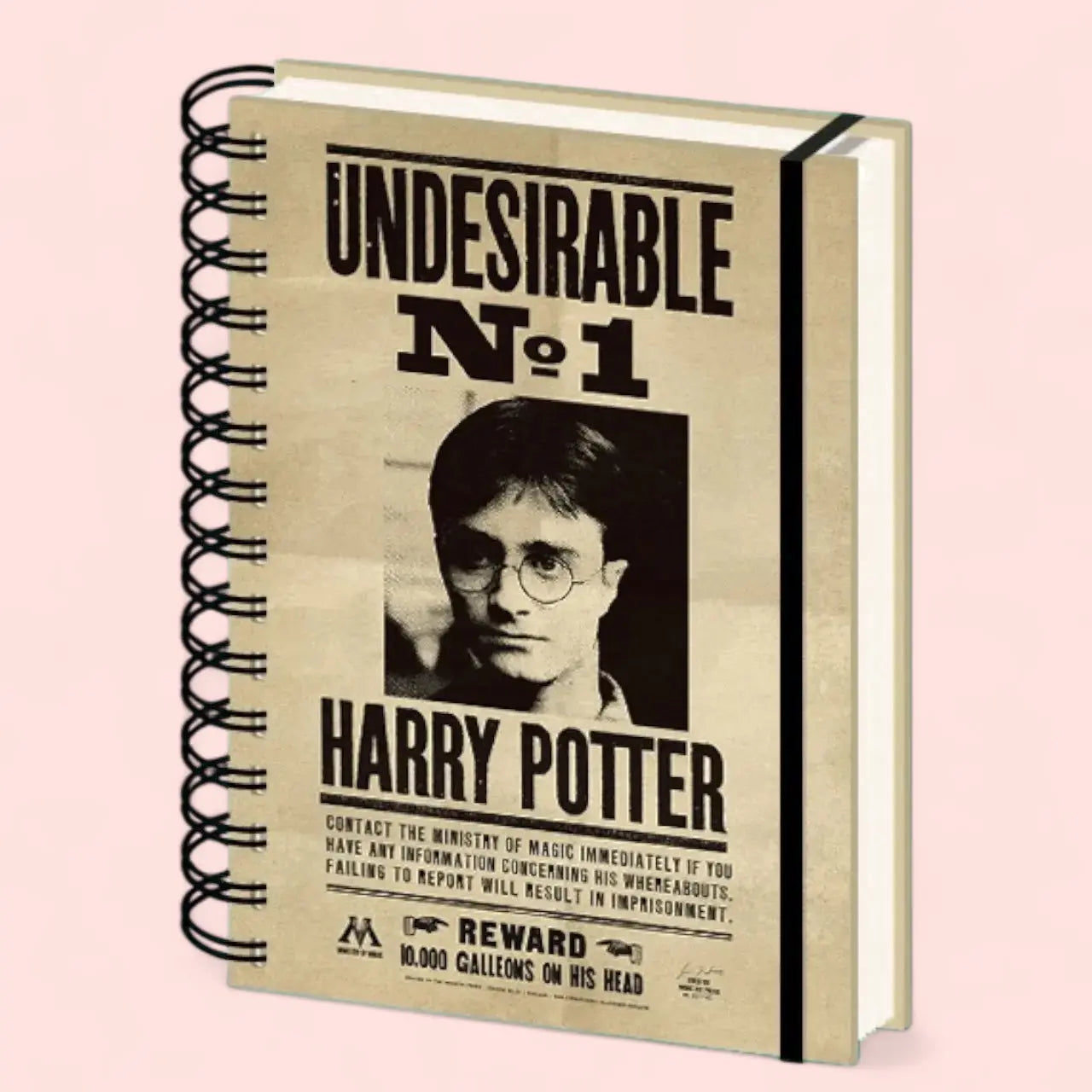 Harry Potter (Sirius & Harry) A5 3D Notebook Pyramid International