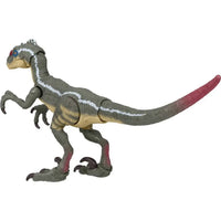 Thumbnail for Jurassic World Hammond Collection Action Figure Velociraptor Jurassic World