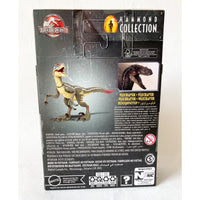 Thumbnail for Jurassic World Hammond Collection Action Figure Velociraptor Jurassic World