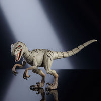 Thumbnail for Jurassic World Hammond Collection Action Figure Atrociraptor Ghost