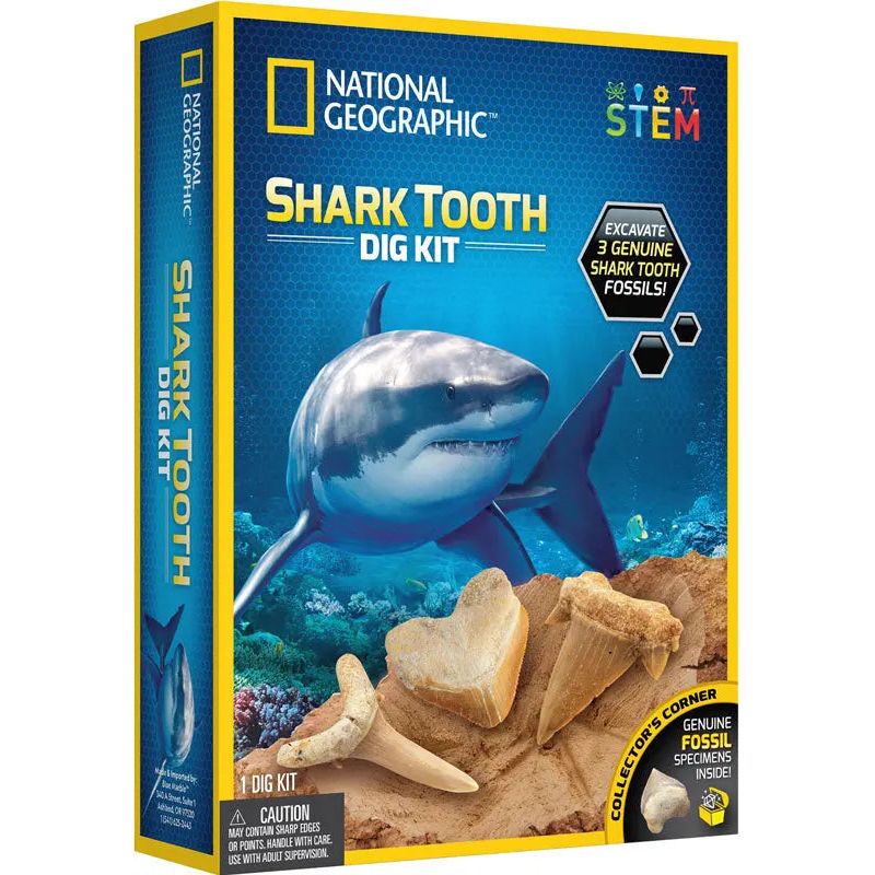 National Geographic Shark Tooth Dig Kit National Geographic