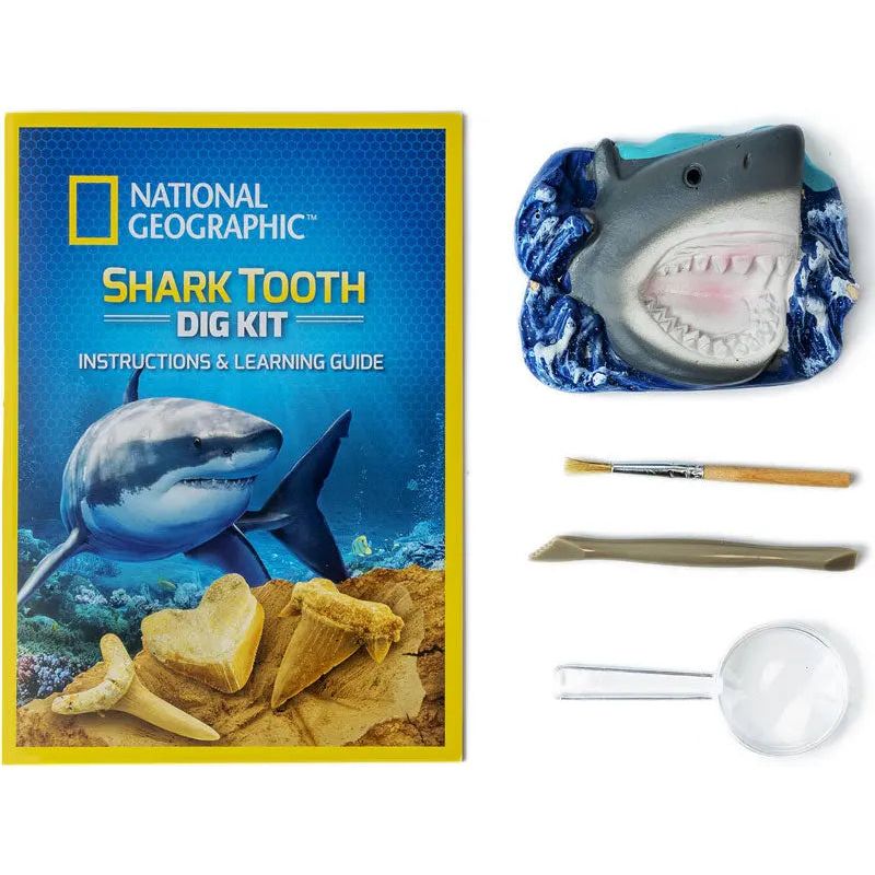 National Geographic Shark Tooth Dig Kit National Geographic