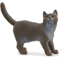 Thumbnail for Schleich British Shorthair Cat Schleich