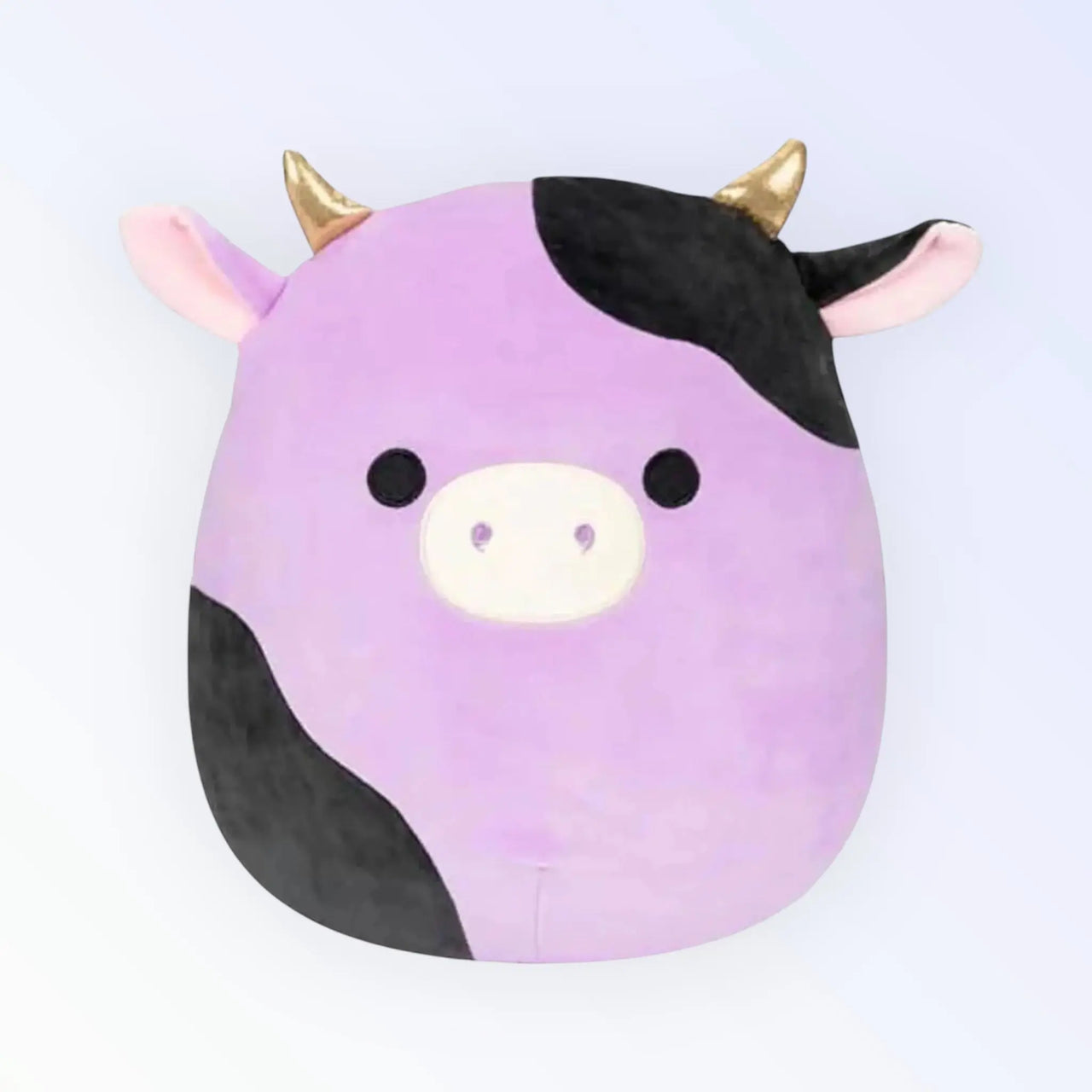 Squishmallow Plush Toy 8" Alexie the Cow Squishmallows