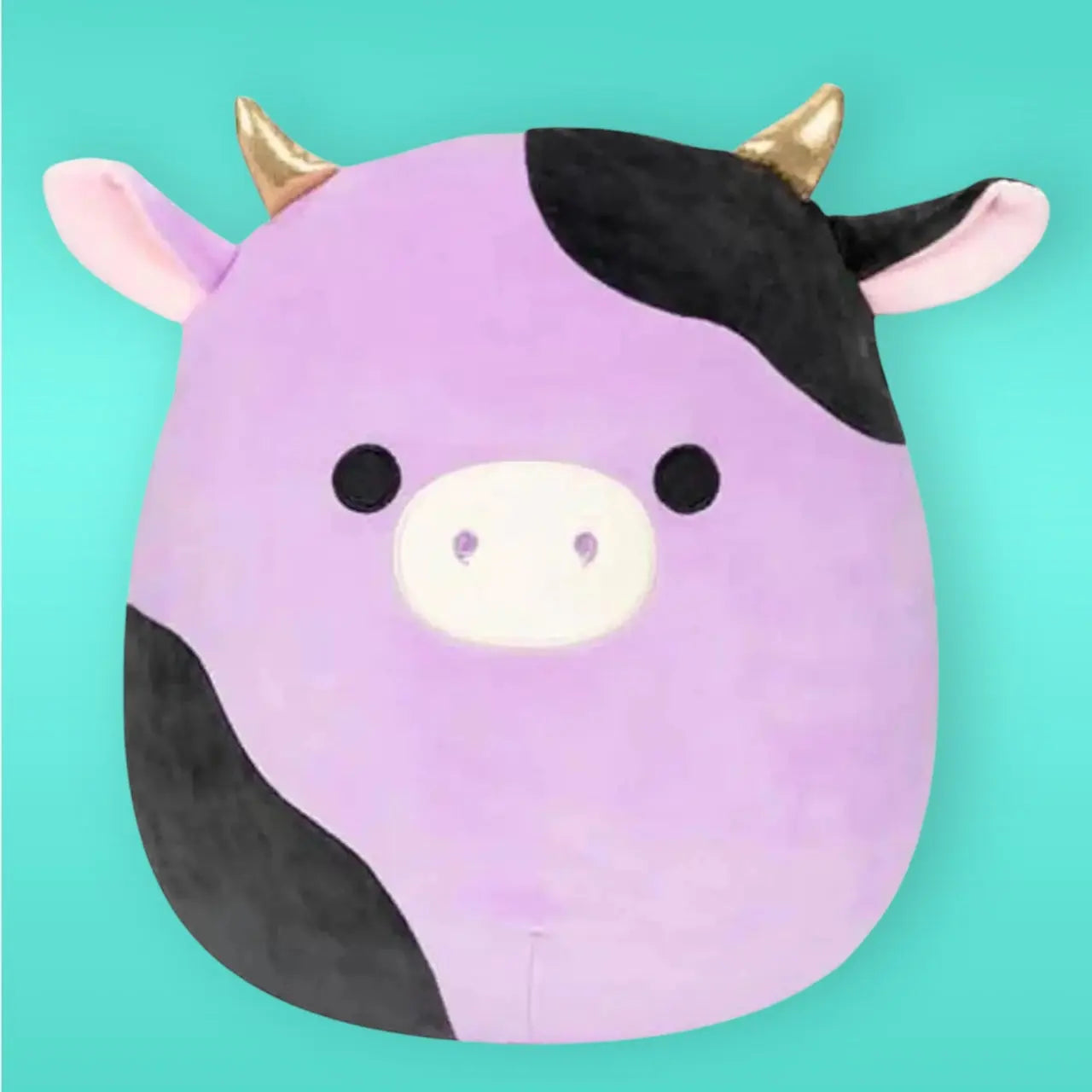 Squishmallow Plush Toy 8" Alexie the Cow Squishmallows