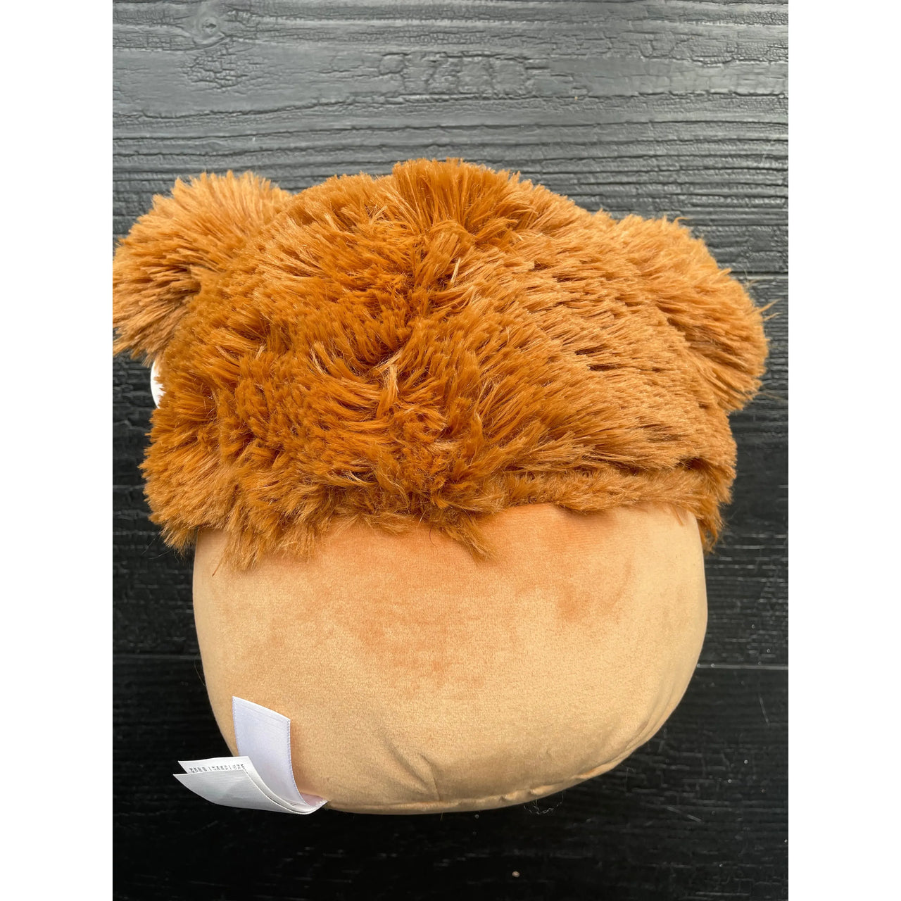 Squishmallow Plush Toy 8" Benny the Bigfoot Squishmallows