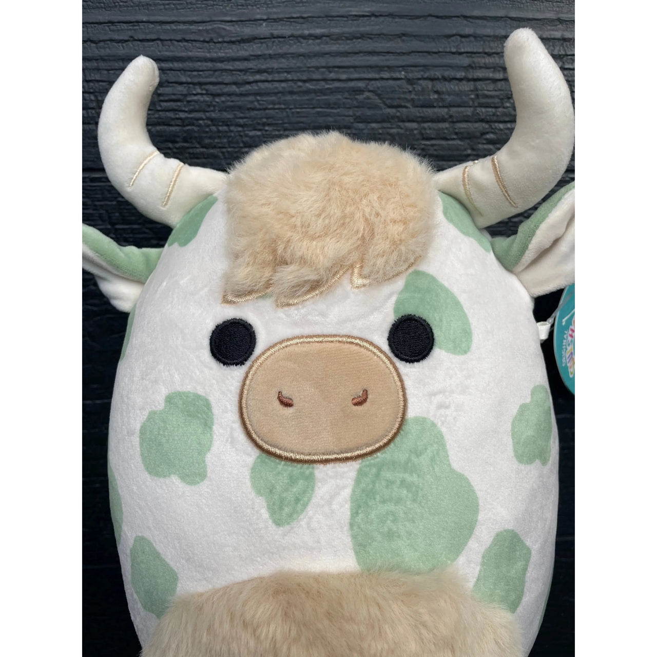 Squishmallow Plush Toy 8" Celestino the Highland Cow Squishmallows