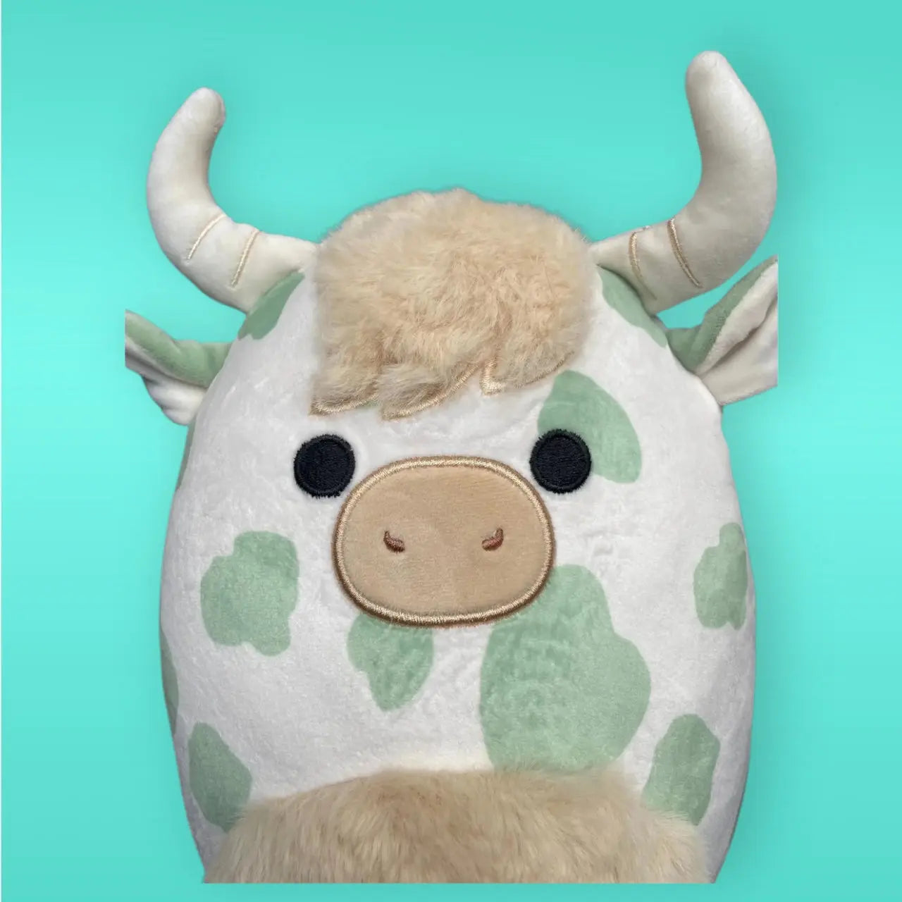 Squishmallow Plush Toy 8" Celestino the Highland Cow Squishmallows