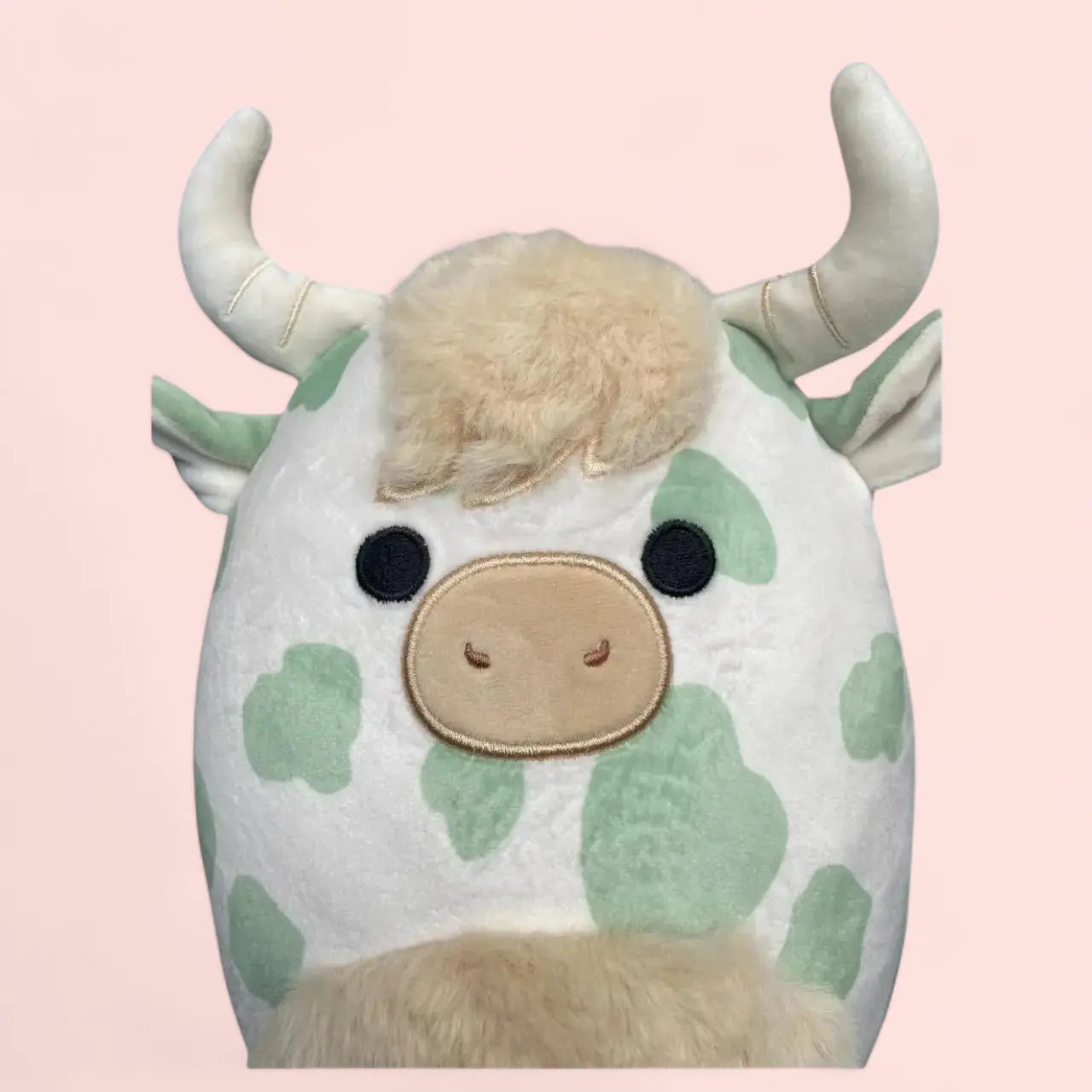 Squishmallow Plush Toy 8" Celestino the Highland Cow Squishmallows